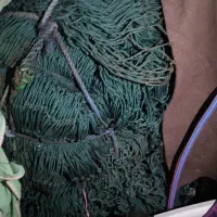 طور ماهی گیری کشتی بزرگ