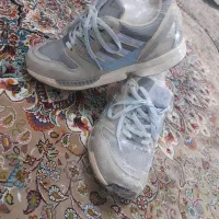 کتونی zxخط یاسی