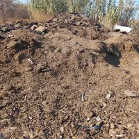 پوش گوسفند|لوازم جانبی حیوانات|آق قلا, |دیوار