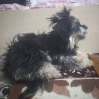 شهر من خومه زار نوراباد