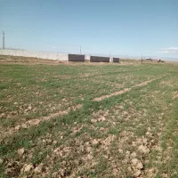 زمین باغی ۲۵۰و۵۰۰و۱۰۰۰ متری روستای محمدیه|فروش زمین و ملک کلنگی|اراک, |دیوار