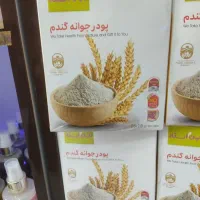 پودر جوانه گندم(اصل)