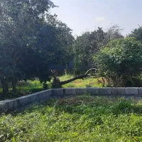 فروش زمین|فروش زمین و ملک کلنگی|دالخانی, |دیوار