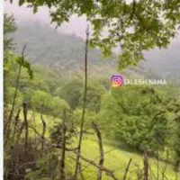 اجاره مسکن با ویوی ابدی|اجارهٔ خانه و ویلا|مرزیکلا, |دیوار