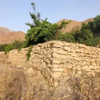 باغ-فروشی-برزک