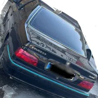 پارس مشکی ۴۰۱