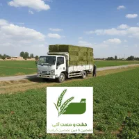 یونجه پر گل و خشک بدون علف