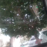 کار‌گرفنی‌جویای‌کار