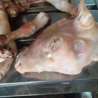 کله پاچه