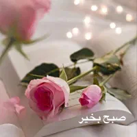 نگهداری از سالمند بصورت ساعتی