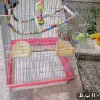 فروش قفس پزنده