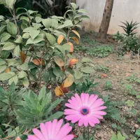 ادمین خلاق نیمه حضوری برای سناریو نویسی کمپین