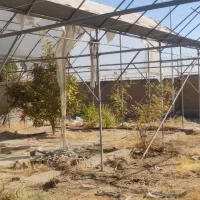 سازه گلخانه