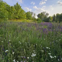باغ گوزلدره