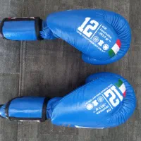 دستکش بوکس|تجهیزات ورزشی|ساری, |دیوار