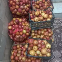 انار مخلوط کلیوی۲۰تومان|حراج|یزد, |دیوار