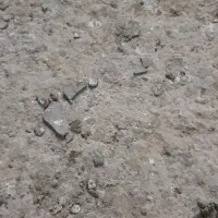 مقداری مدارک پیدا شده با دادن نشانی و مژدگانی