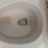 یک عدد توالت فرنگی مروارید|لوازم سرویس بهداشتی|شیراز, شهرک صنعتی شیراز|دیوار