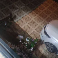 ویلا ۱۲۰ متر مستقل واقع در لاهیجان ، شیخ زاهد|اجارهٔ خانه و ویلا|لاهیجان, کوی خزر|دیوار