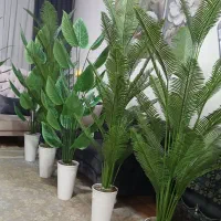 درختچه کنار سالنی