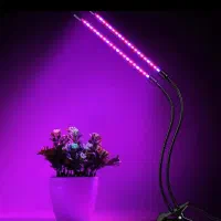 چراغ رشد گیاه ۱۰ وات|لامپ و چراغ|کرج, حسن آباد|دیوار