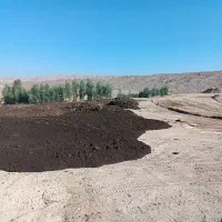 فروش نقدی کود حیوانی گاوی|خدمات باغبانی و درختکاری|سرپل ذهاب, |دیوار