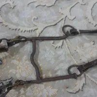 دهنی اسب انگلیسی قدمت ۱۵۰سال|اسب و تجهیزات اسبسواری|گالیکش, |دیوار