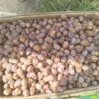 خرمای برحی فله