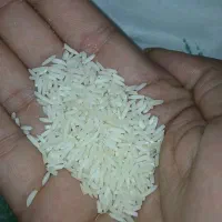 انواع برنج ایرانی اعلا|خوردنی و آشامیدنی|تهران, فردوس|دیوار