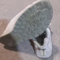 کفش دخترانه سفید سبز|کیف، کفش، کمربند|مرند, |دیوار