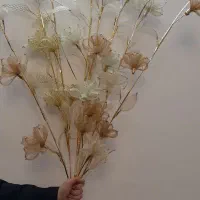۸شاخه گل ۵۰۰