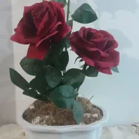 گل وگلدان|گل مصنوعی|همدان, |دیوار