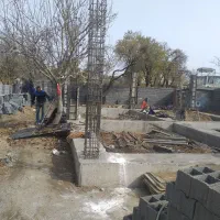 کندن گردو بادام