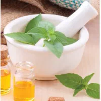 آموزش حرفه ای و آکادمیک ماساژ