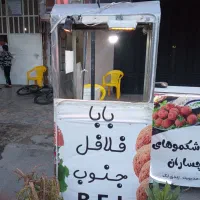 دکه فر ساندویچی