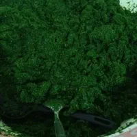 سبزی خورشتی آماده باقیمت پایین برای فروش