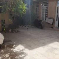 خانه ویلایی|فروش خانه و ویلا|شیراز, گچی|دیوار