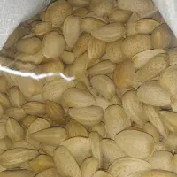 بادام ارگانیک