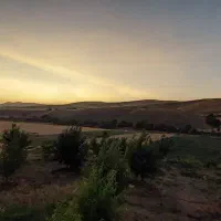 فروش یک هکتار زمین کشاورزی سرچاوه-سلیمانکندی