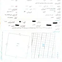 یک هکتار زمین کشاورزی همراه با آب قطره‌ای