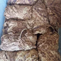 تنباکو