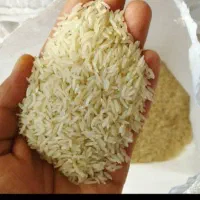 برنج طارم هاشمی|خوردنی و آشامیدنی|کردکوی, |دیوار