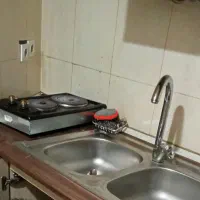 داوطلبانه در امور فنی راهنمایی میکنم