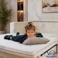 مبل تخت خواب شو مدل سلین