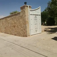 سنگ زردچناران تو ده سانتی قواره لاشه