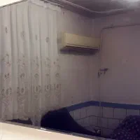 تلوزیون ۵۵ اینچ|تلویزیون و پروژکتور|شوش, |دیوار