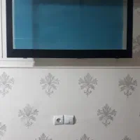 آکواریم دیواری|ماهی|محمدیه-قزوین, |دیوار