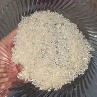 لاشه فجر سوزنی