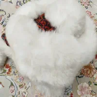 کلاه زمستونی