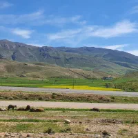 کارگر مرغداری